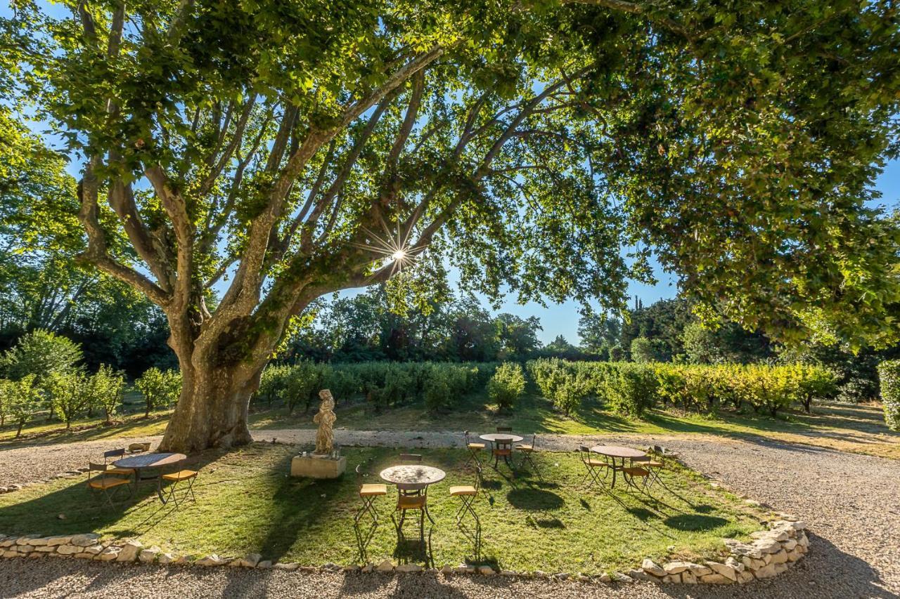 Mas De Capelou Bed & Breakfast Avignon Exterior foto
